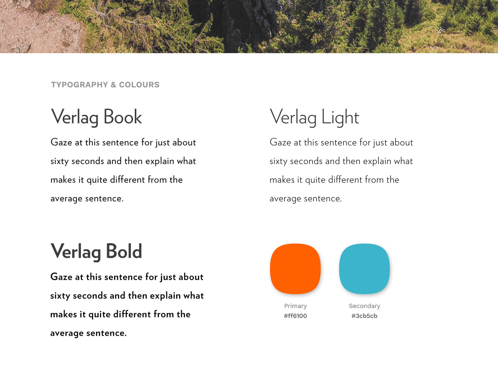 Design Guidelines provided by the Client side.
